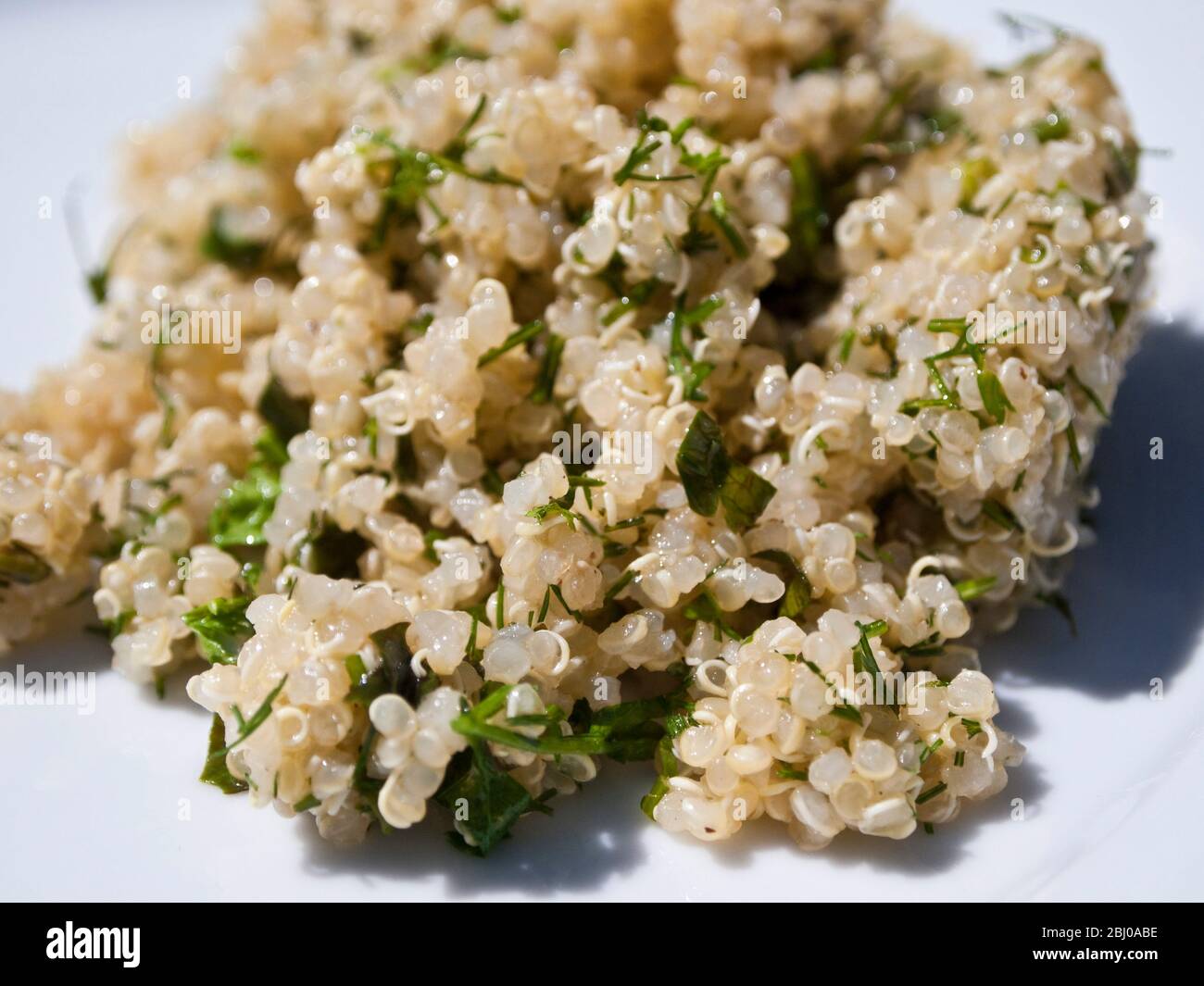 OLYMPUS FOTOCAMERA DIGITALE Foto Stock