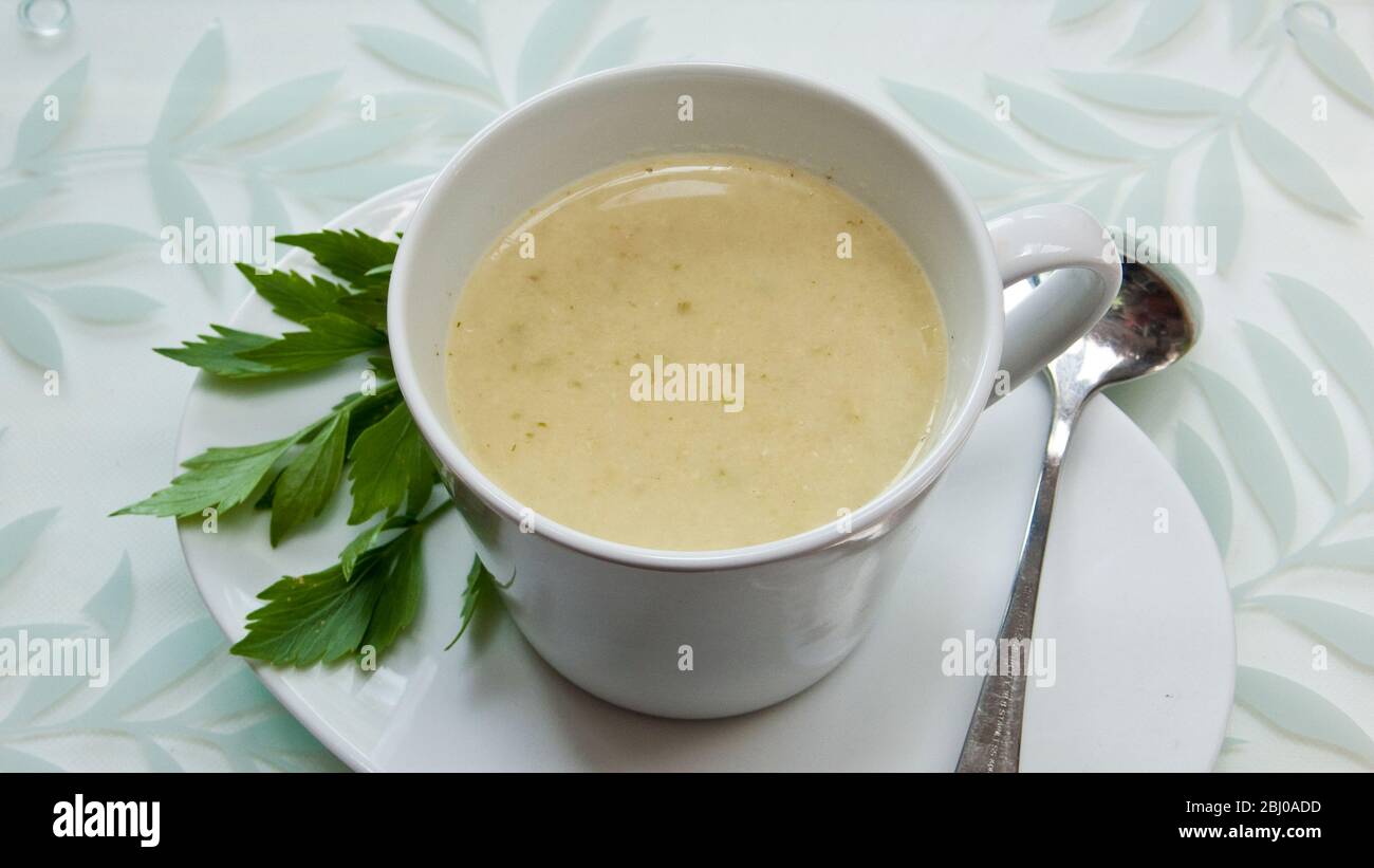 Zuppa di verdure leggera con formaggio casolare mescolato - Foto Stock