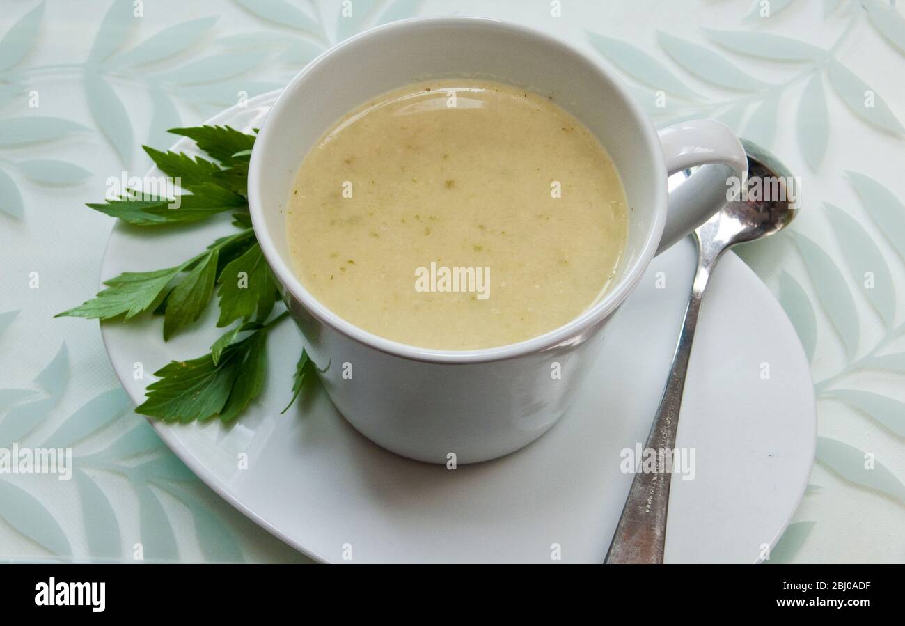 Zuppa di verdure leggera con formaggio casolare mescolato - Foto Stock
