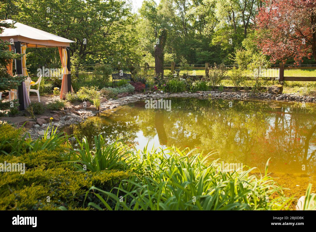 Bellissimo laghetto con pesci rossi in un giardino soleggiato con patio, sedie e panca Foto Stock