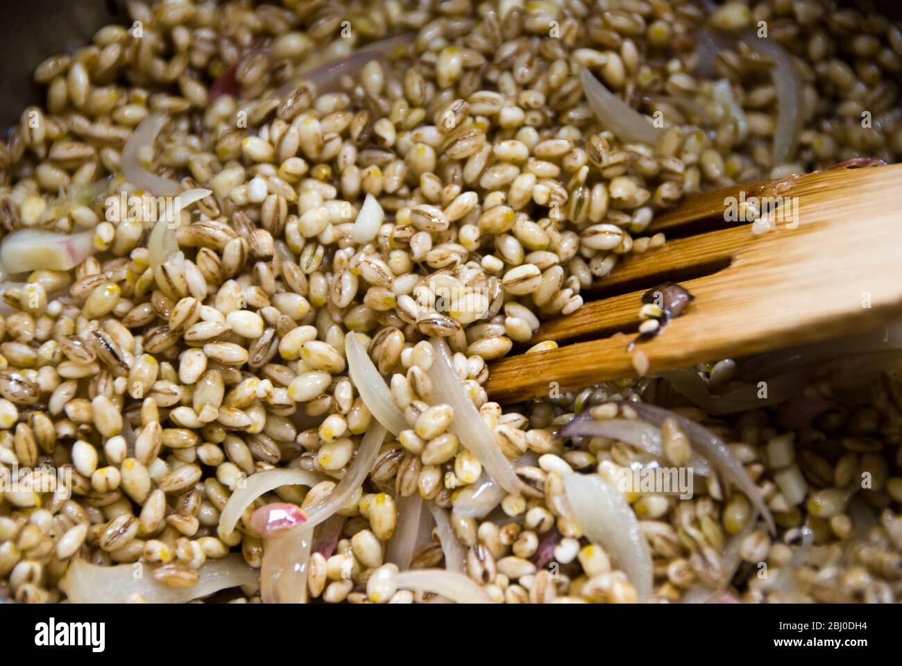 Cottura dei chicchi d'orzo con cipolle affettate in olio d'oliva, iniziando a fare risotto d'orzo - Foto Stock
