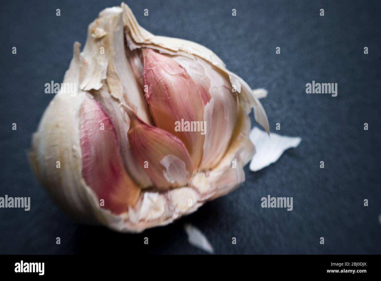 Bulbo singolo di aglio rotto aperto - Foto Stock