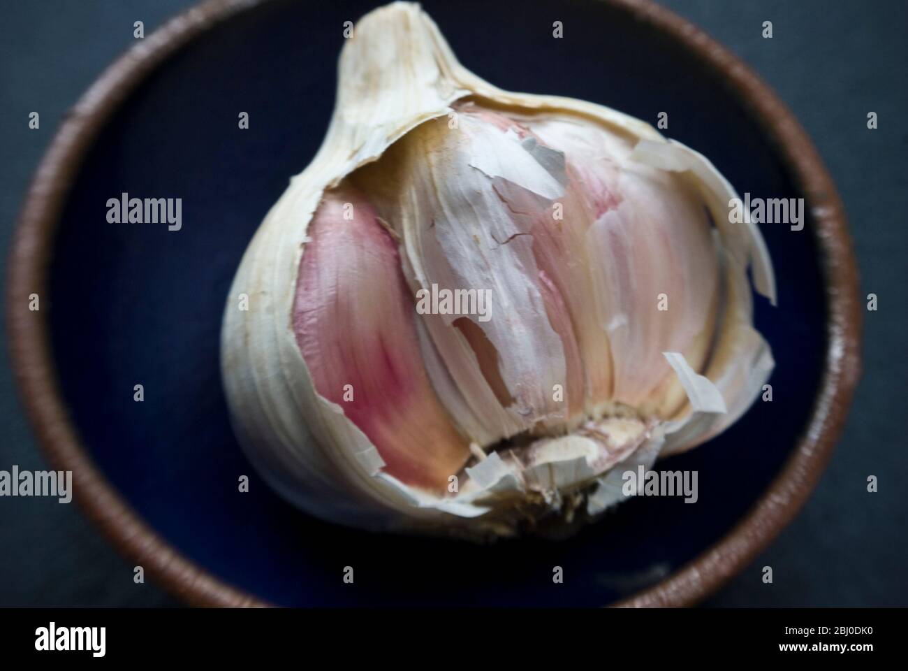 Bulbo singolo di aglio rotto aperto in ciotola piccola - Foto Stock