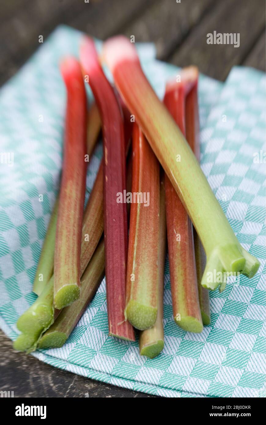 Gambi di rabarbaro appena raccolti su tovagliolo da tè sul tavolo da giardino - Foto Stock