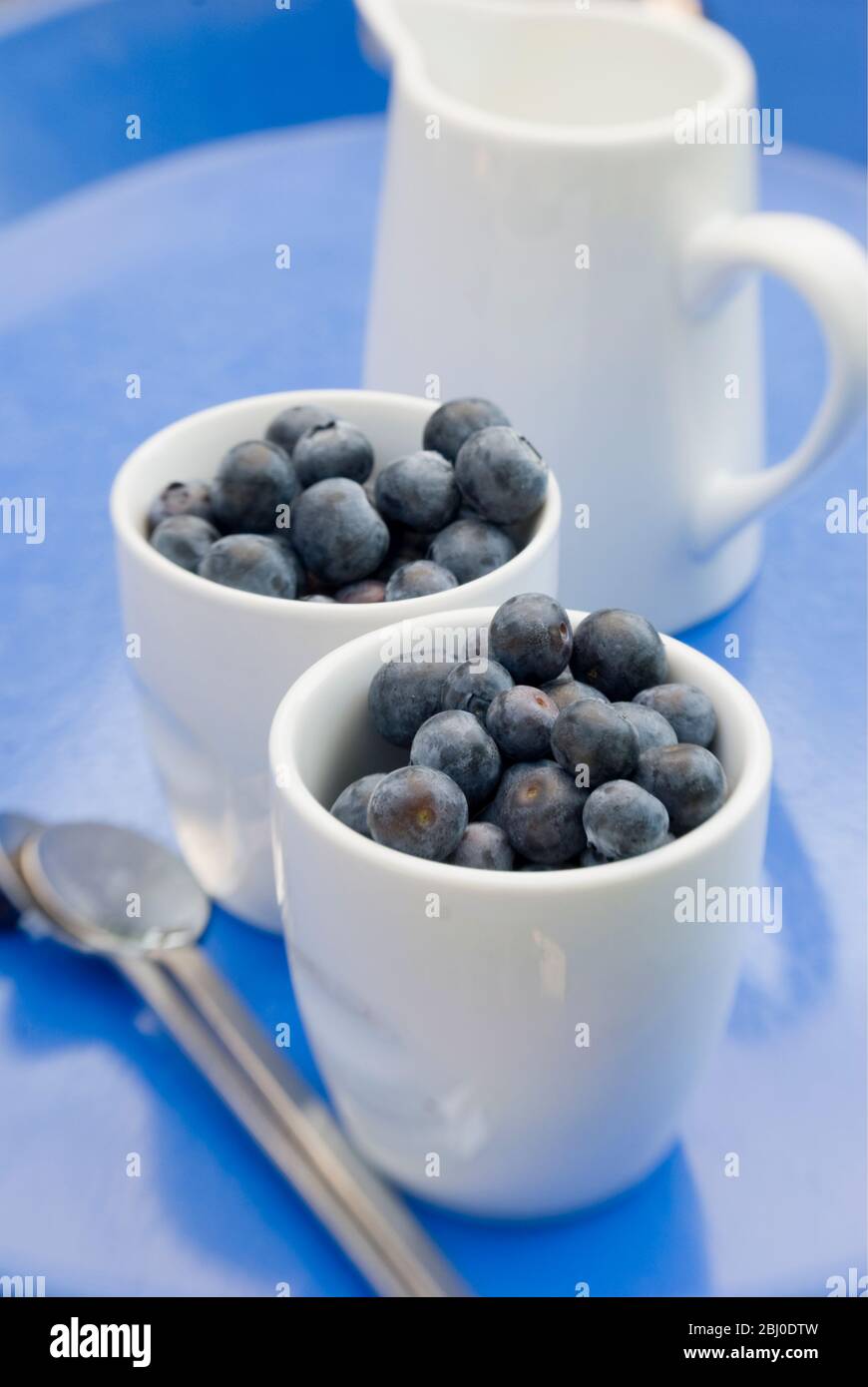 Mirtilli freschi in pentole bianche con caraffa di latte o crema - Foto Stock