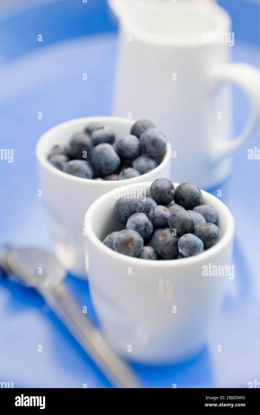 Mirtilli freschi in pentole bianche con caraffa di latte o crema - Foto Stock