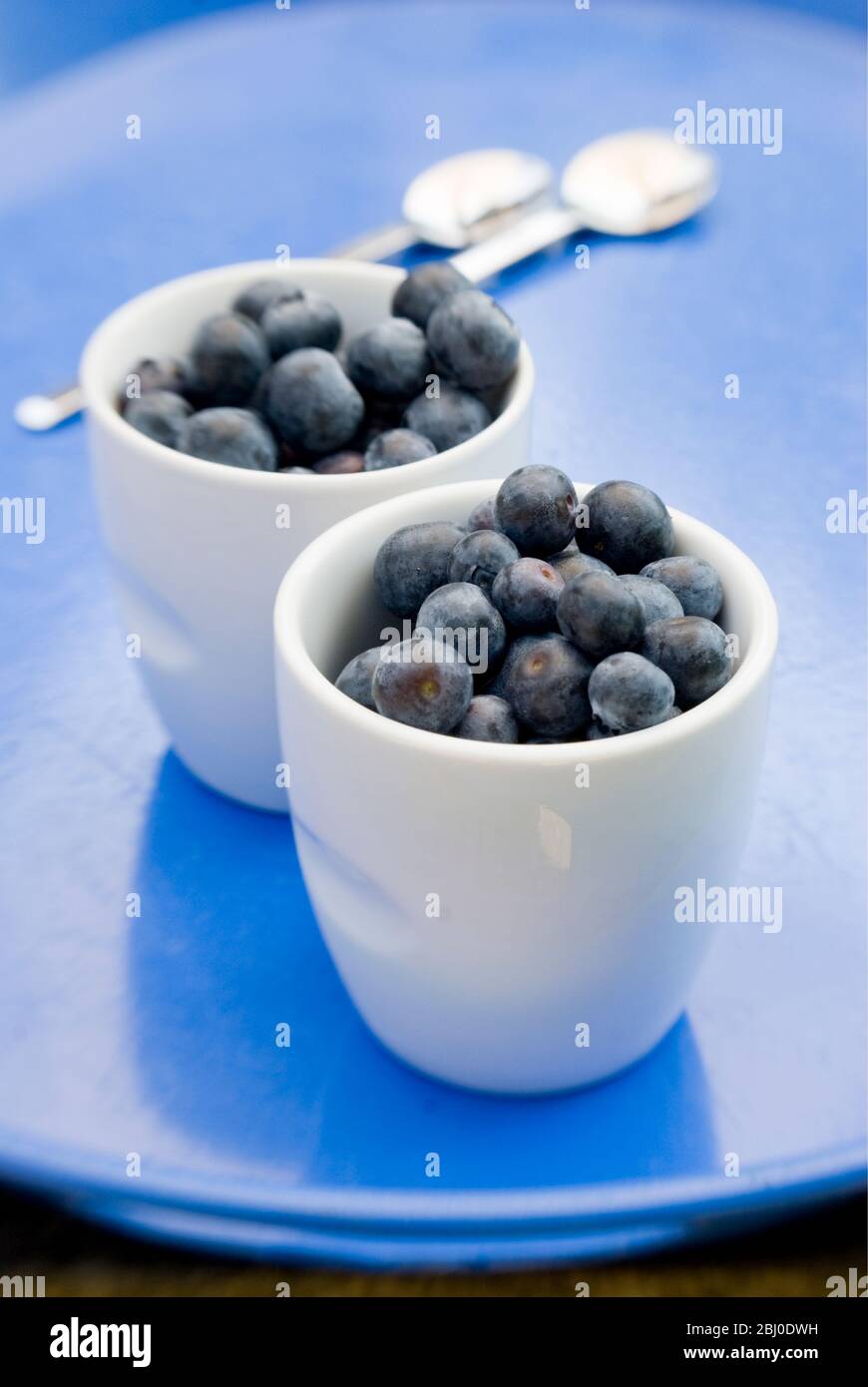Mirtilli freschi in pentole bianche - Foto Stock