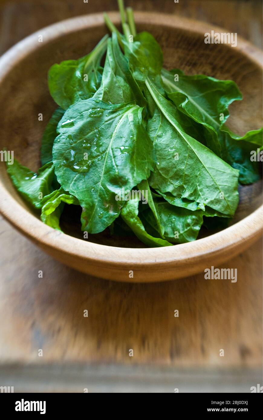 Foglie di spinaci appena raccolte e lavate in una ciotola di legno - Foto Stock