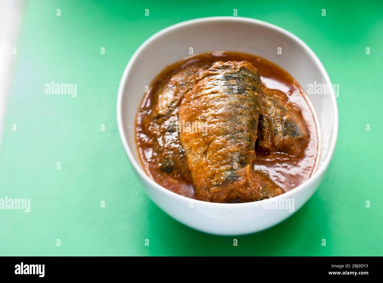 Pappagallo in scatola in salsa di pomodoro servito in una ciotola bianca su superficie verde - Foto Stock