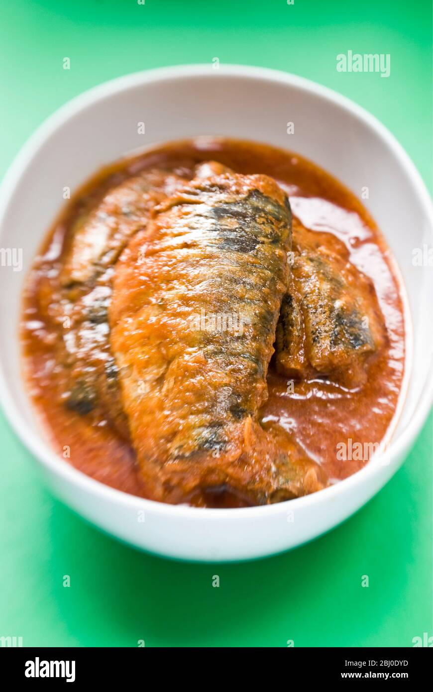 Pappagallo in scatola in salsa di pomodoro servito in una ciotola bianca su superficie verde - Foto Stock