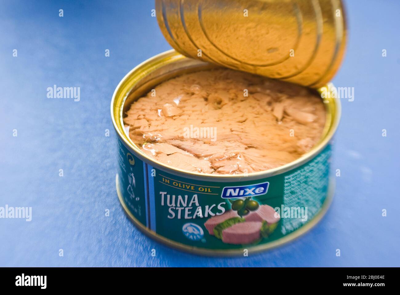 Lattina aperta di tonno stagnato in olio d'oliva su superficie blu. - Foto Stock