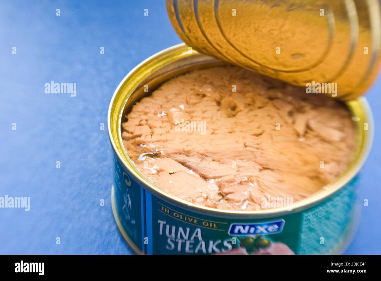 Lattina aperta di tonno stagnato in olio d'oliva su superficie blu. - Foto Stock