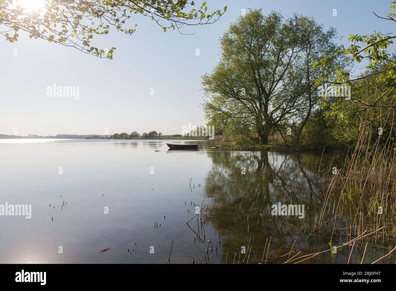 Barca a remi sul Lago Dobersdorf , comunità di Schlesen, Östliches Hügelland o Eastern Hill Country, Schleswig-Holstein, Germania del Nord, Europa Foto Stock