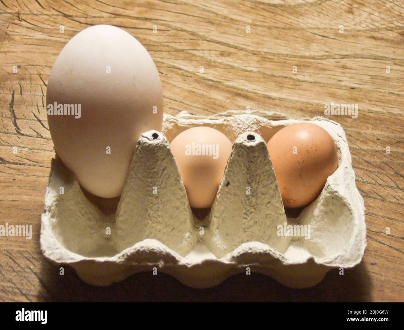 Due uova di Bantams e un uovo d'oca in scatola di cartone su tavolo rustico di legno - Foto Stock