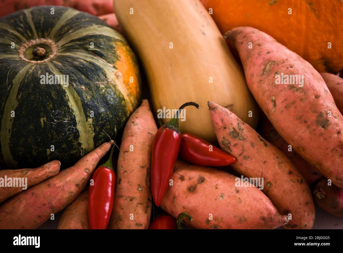Verdure miste, peperoni dolci, peperoncini rossi, zucca, - Foto Stock