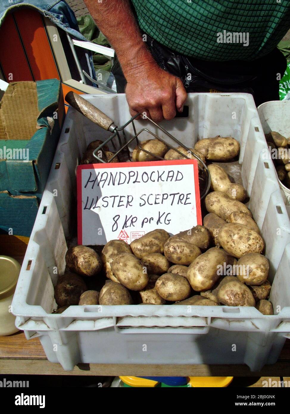Patate novelle coltivate a mano in vendita sulla piazza del mercato di Varberg, Svezia - Foto Stock