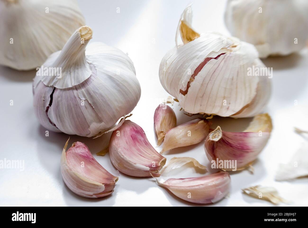 Bulbi e spicchi d'aglio su superficie bianca - Foto Stock