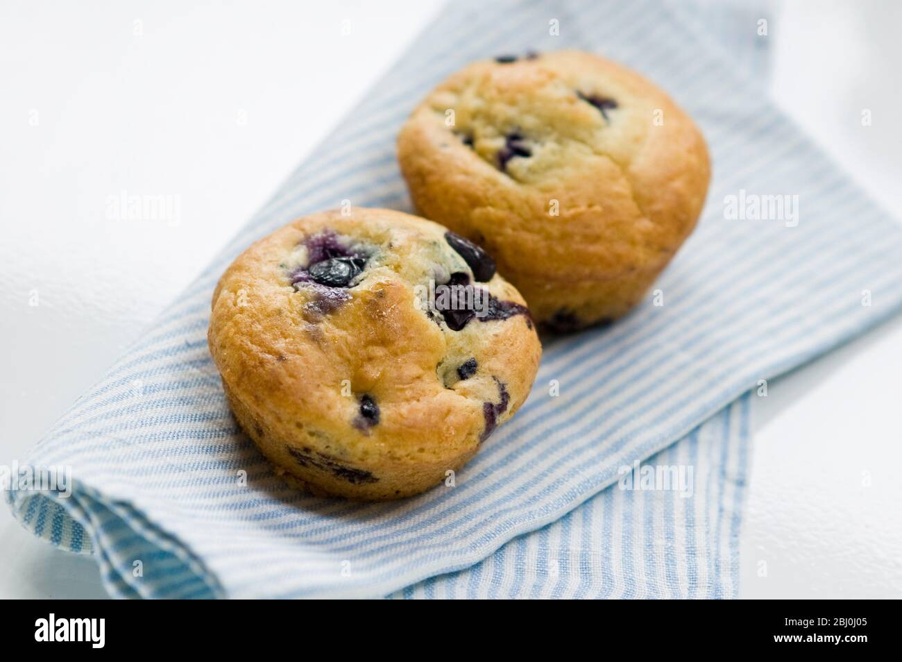 Muffin di mirtillo appena sfornato su tovagliolo a righe blu. - Foto Stock