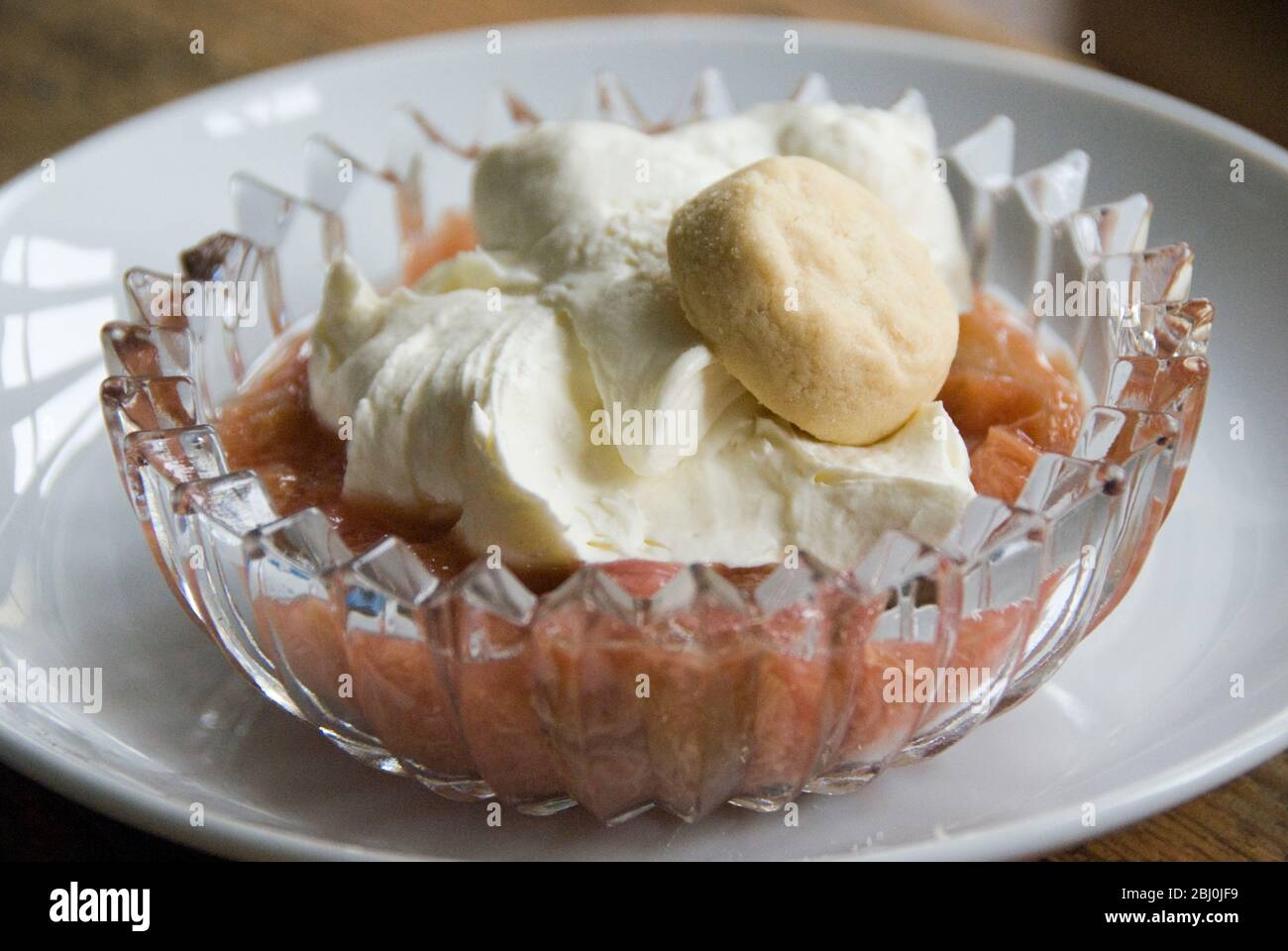 Giardino rabarbaro in camicia con zenzero servito con mascarpone misto e creme fraiche con biscotto shortbread - Foto Stock