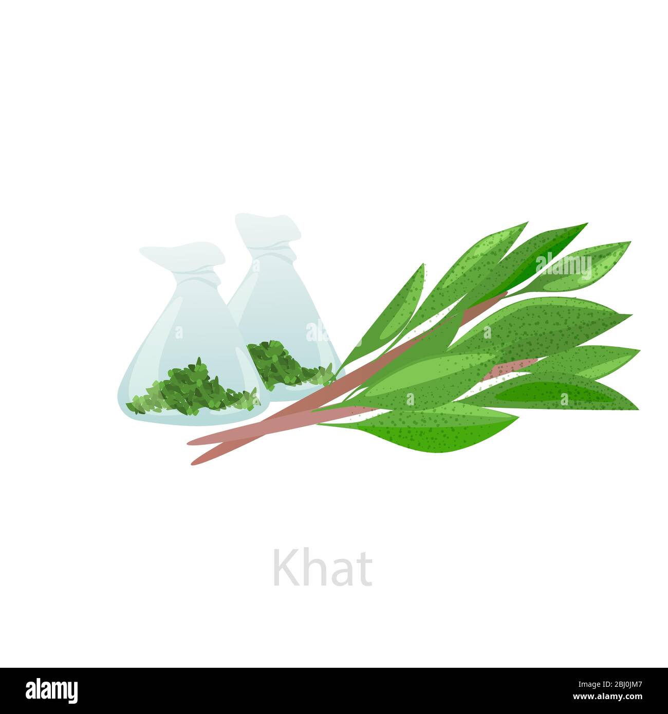 Fasci di foglie di khat con materie prime in fiasche. Il concetto di Catha edulis Illustrazione Vettoriale