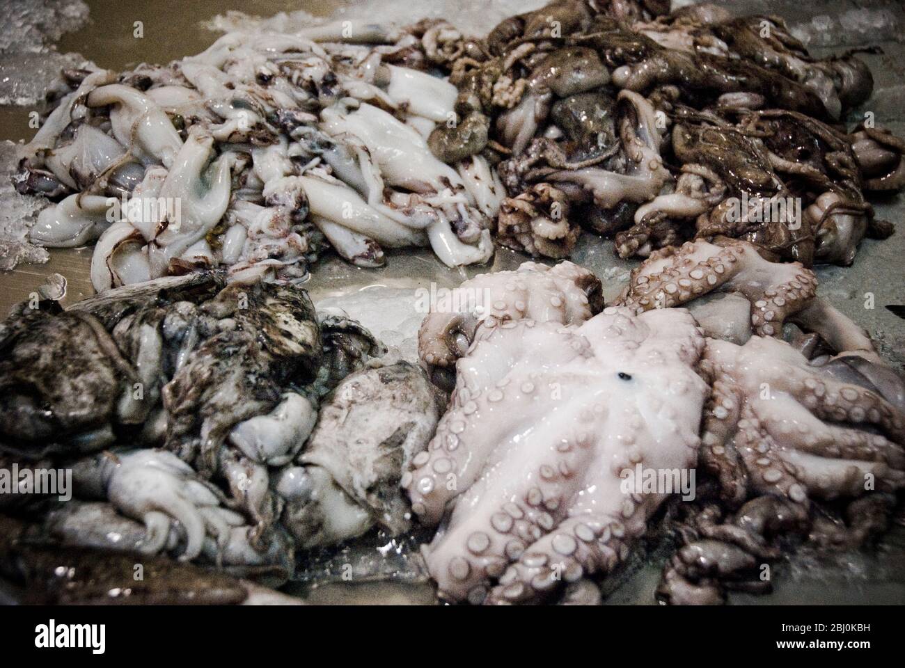 Polpo greggio e calamari sul banco dei pesci del mercato coperto di Limassol, Cipro - Foto Stock