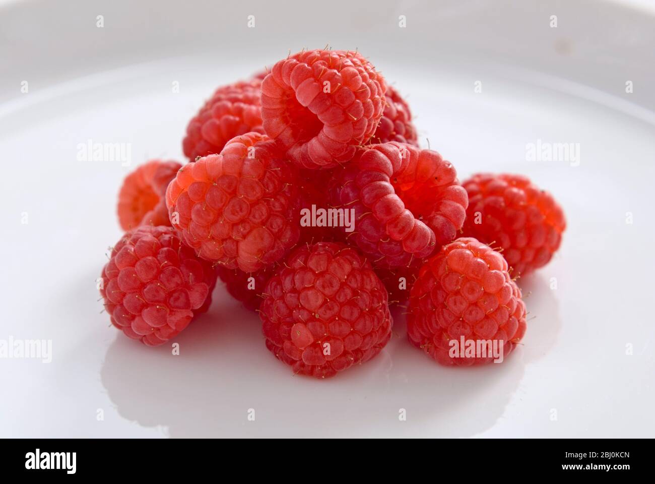 Lamponi interi freschi su piatto bianco - Foto Stock