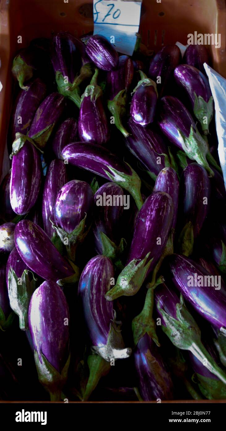 Melanzane in vendita in stalla agricola stradale, Cipro meridionale. - Foto Stock