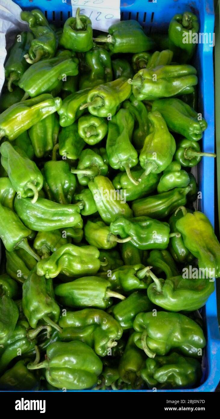 Piccoli peperoni verdi caldi in vendita in stalla agricola stradale, Cipro meridionale. - Foto Stock