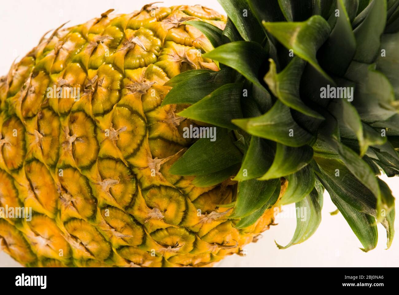 Ananas fresco intero su sfondo bianco - Foto Stock