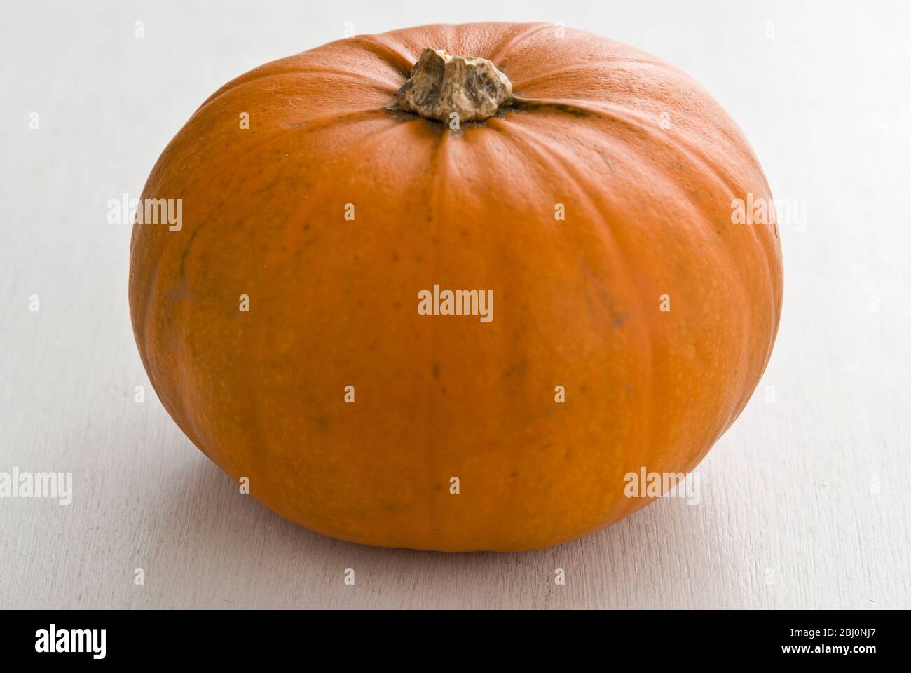 Grande zucca arancione su superficie bianca - Foto Stock
