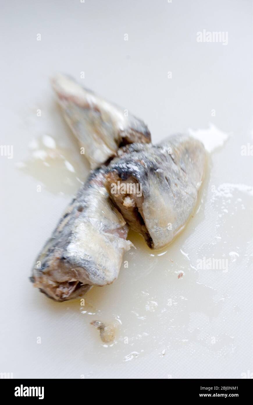Sardine su lavagna bianca con cuneo al limone. - Foto Stock