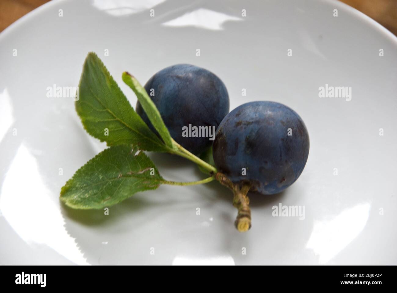 Damsons con foglie, appena raccolto su piatto bianco. - Foto Stock