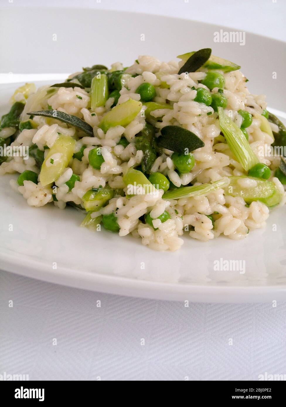Piatto di risotto verde semplice, su piatto bianco come pranzo leggero o antipasto. - Foto Stock