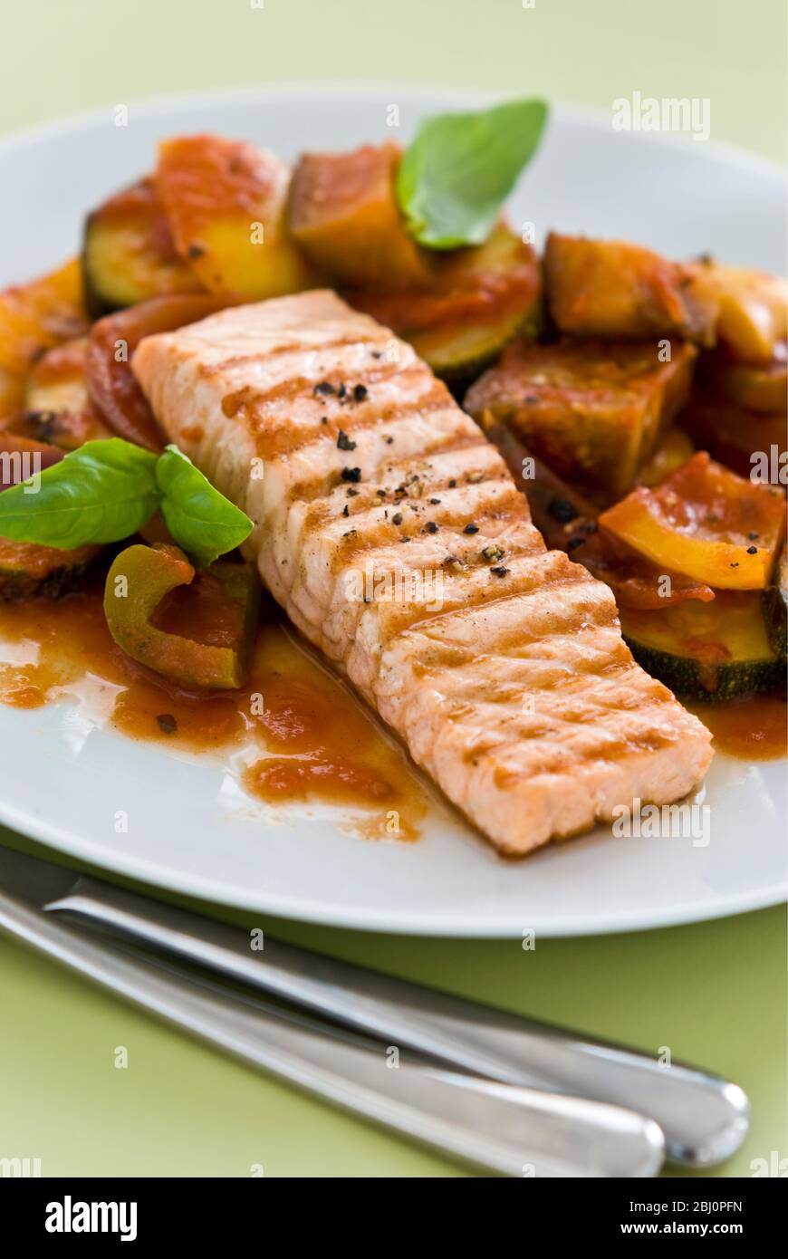 Piccolo pezzo di filetto di salmone alla griglia, servito su ratatouille. Una singola portata su piatto bianco. - Foto Stock