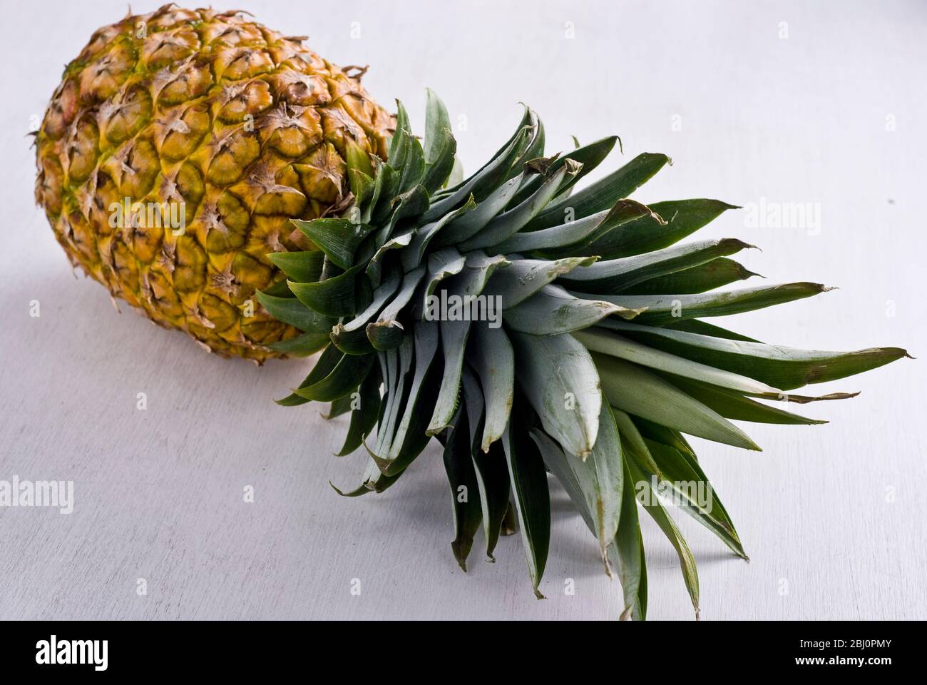 Ananassi freschi su superficie bianca - Foto Stock