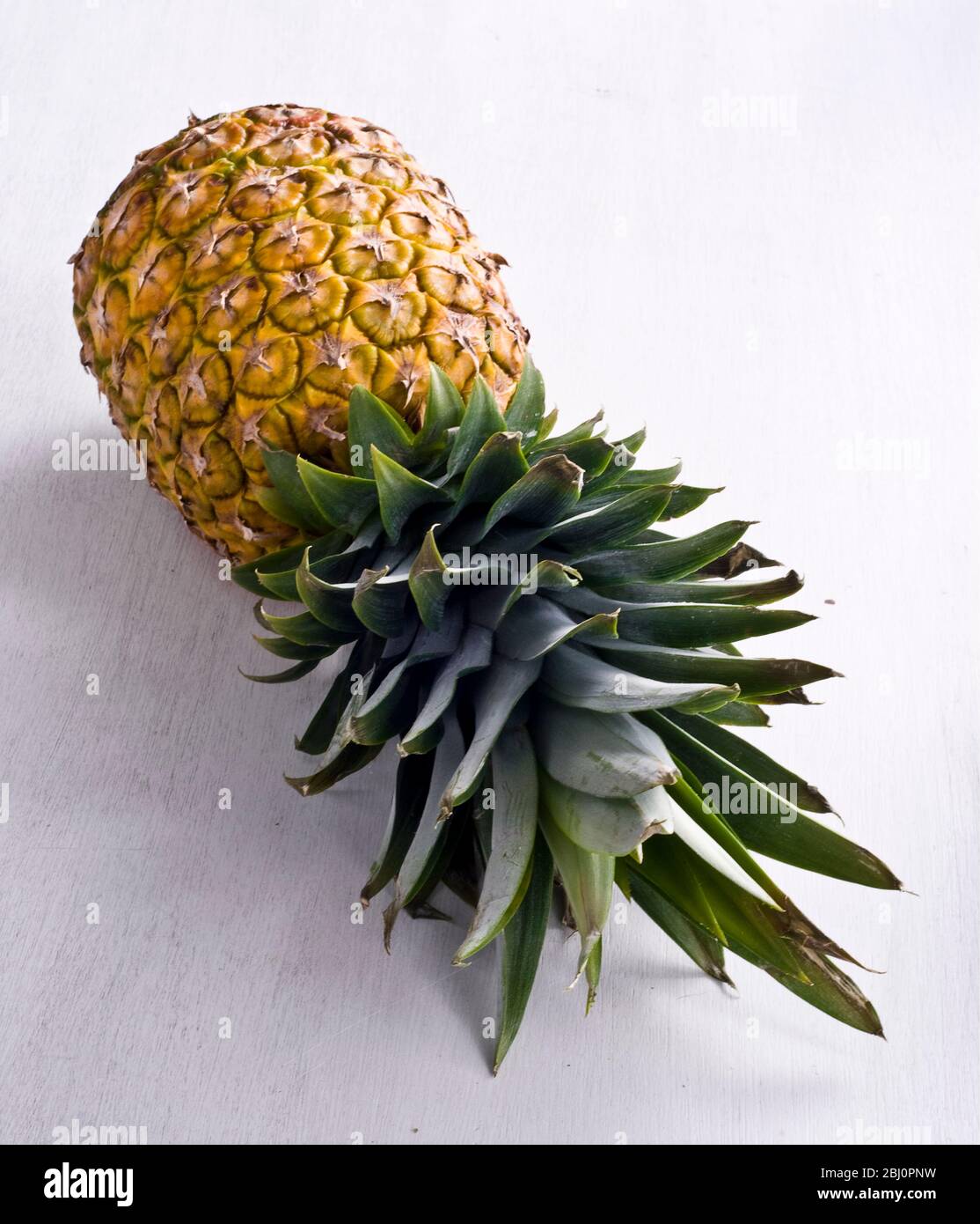 Ananassi freschi su superficie bianca - Foto Stock