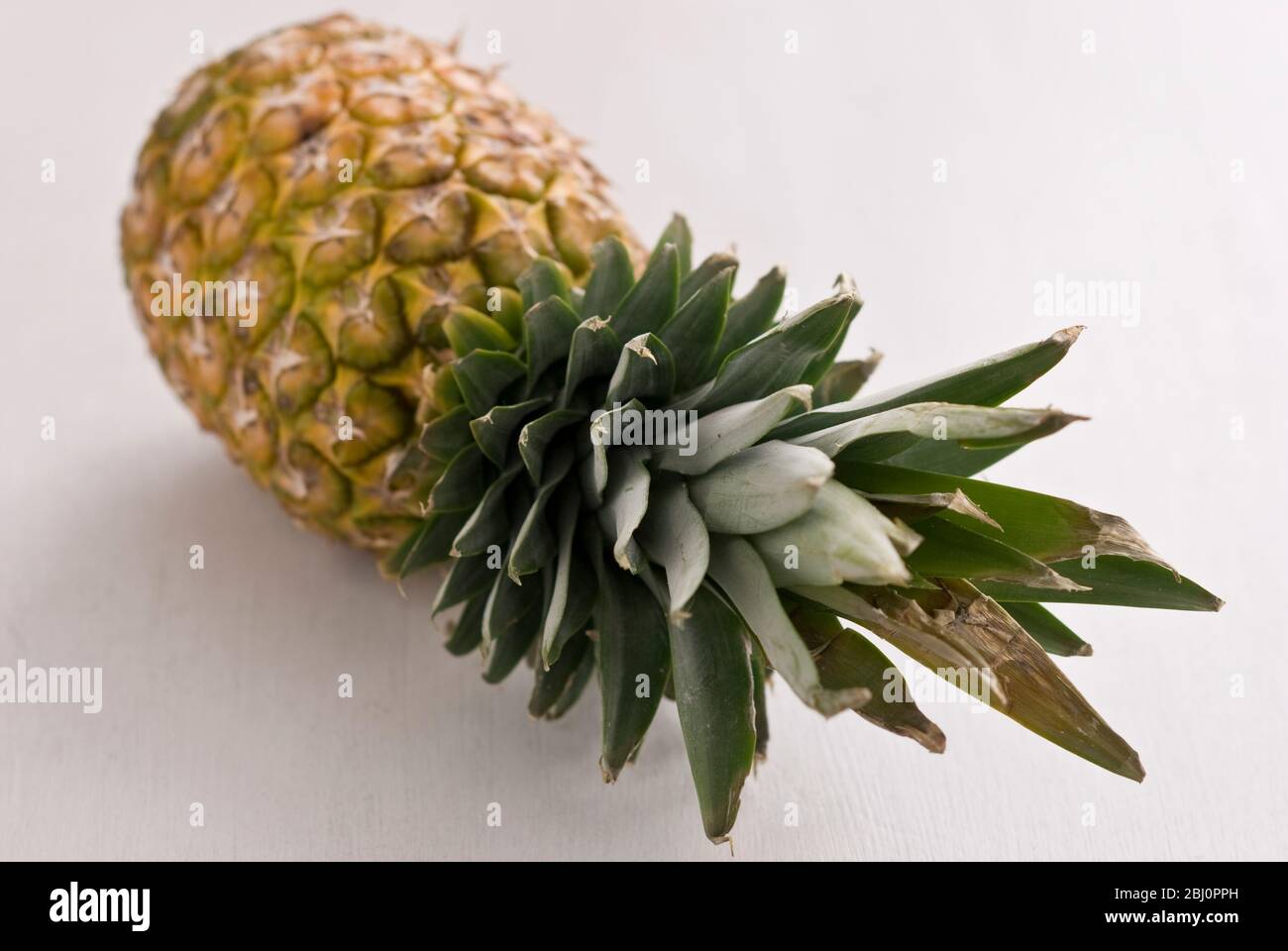 Ananas fresco su superficie bianca - Foto Stock