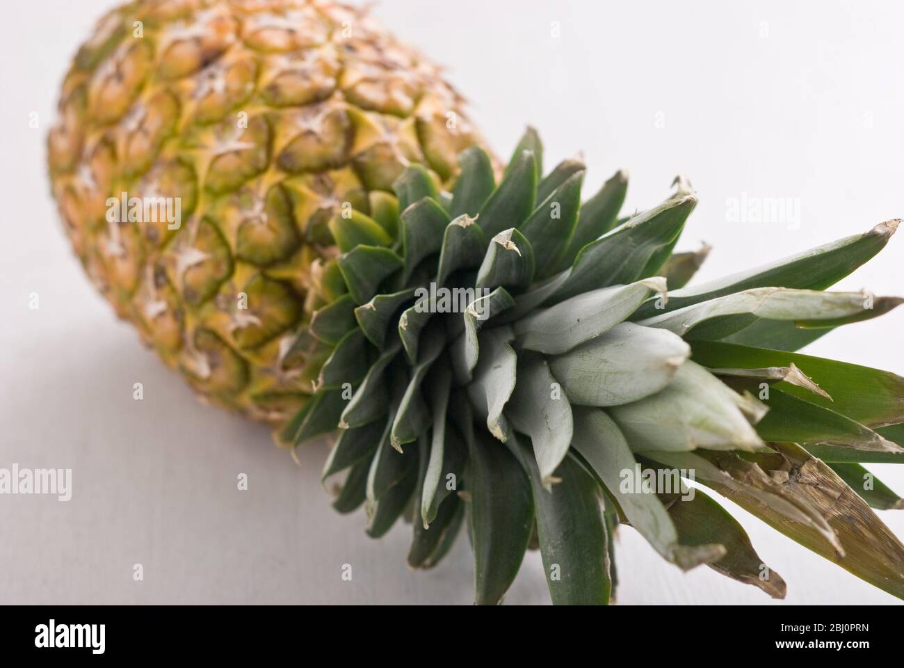 Ananas fresco su superficie bianca - Foto Stock