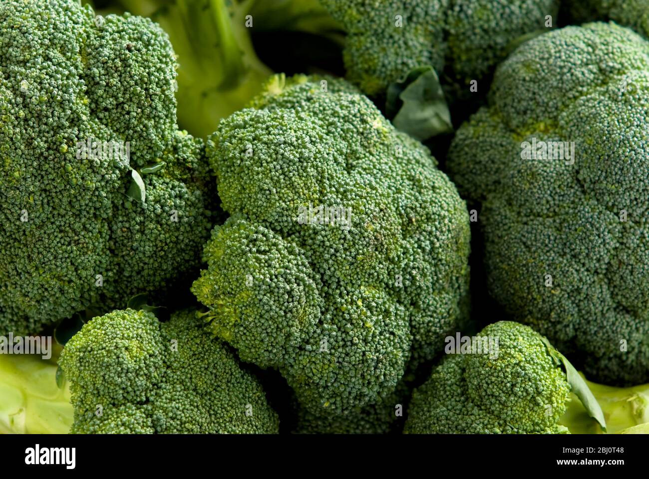 Primo piano di pezzi massaggiati di broccoli - Foto Stock