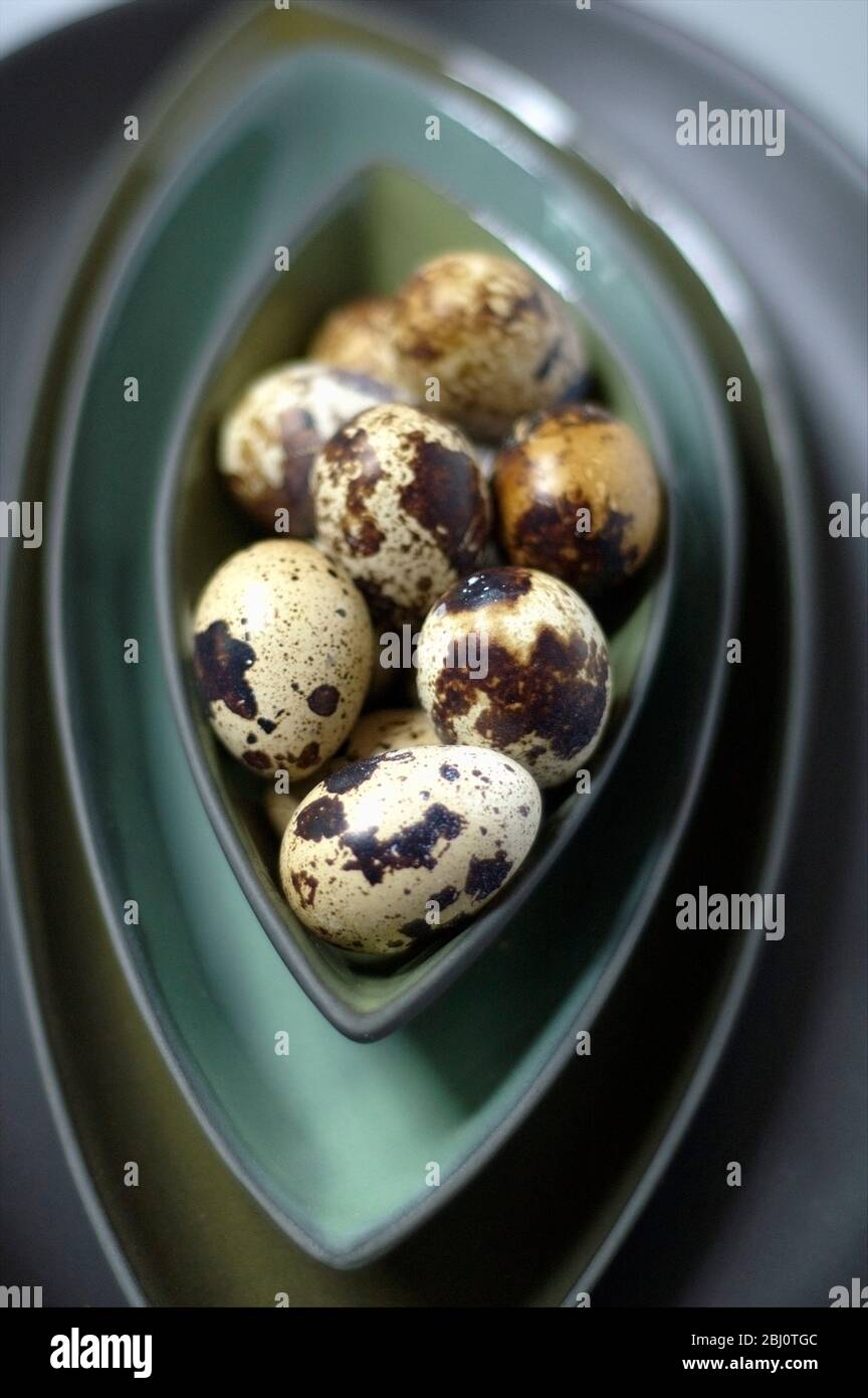 Vaschette di ceramica su superficie blu con uova di quaglie - Foto Stock