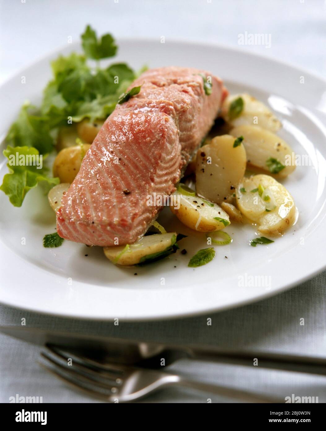Filetto di salmone alla griglia su insalata di patate nuove con erbe, insalata verde, guarnito con scorza di limone. - Foto Stock