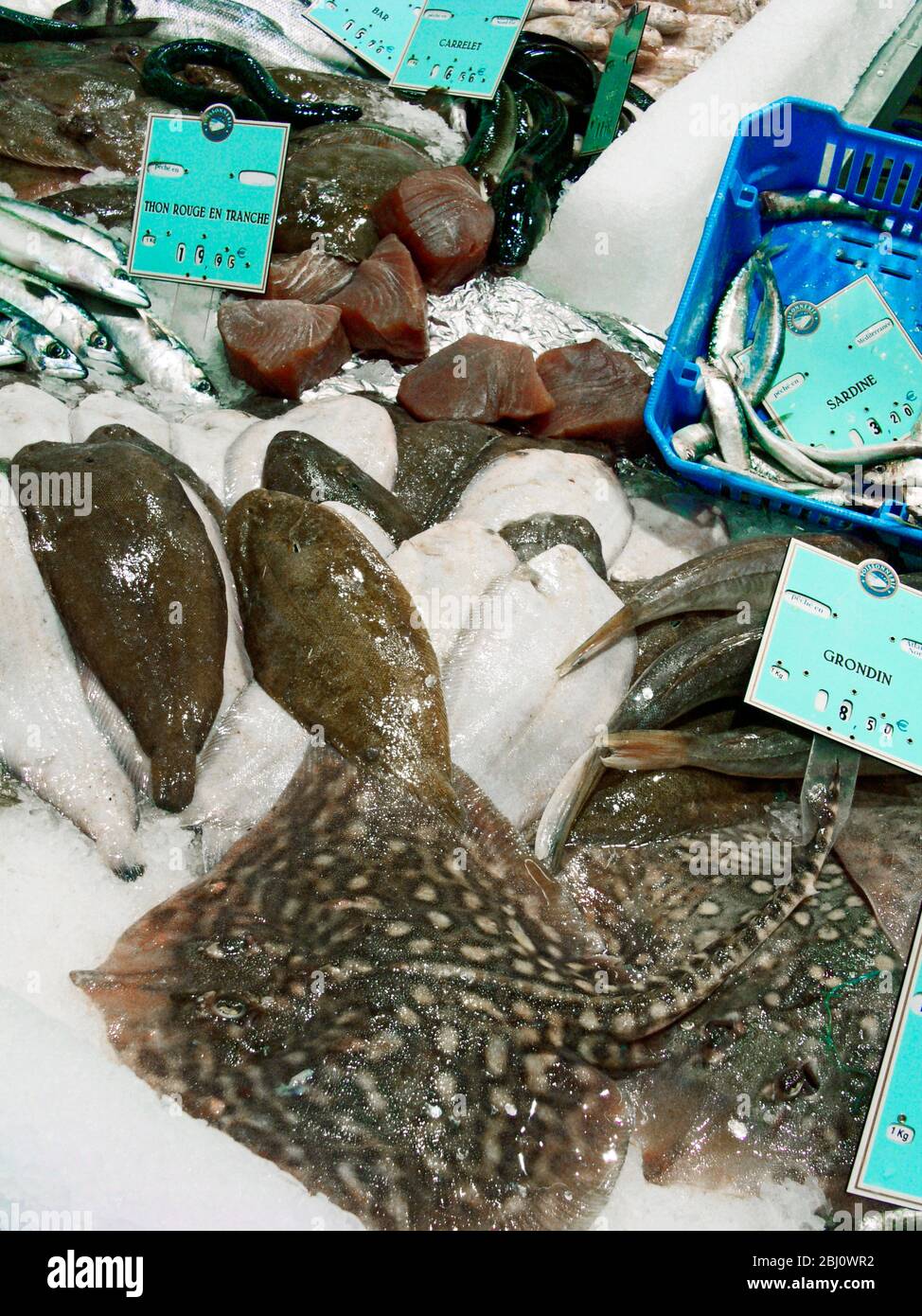 Pesce bagnato su lastra in supermercato francese - Foto Stock