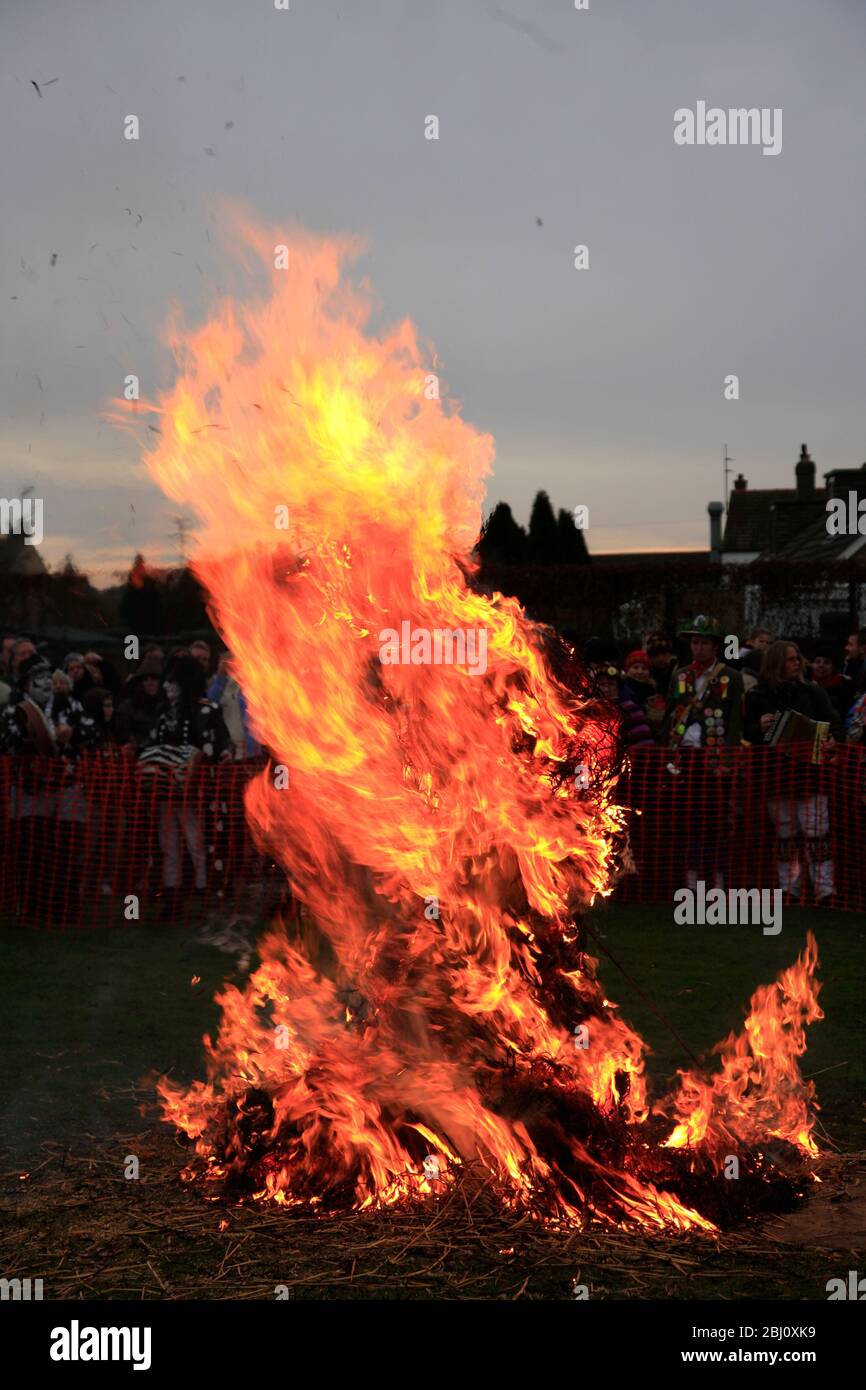 Bruciare l'orso di paglia di Whittlesey, la città di Whittlesey, Cambridgeshire; Inghilterra, Regno Unito Foto Stock