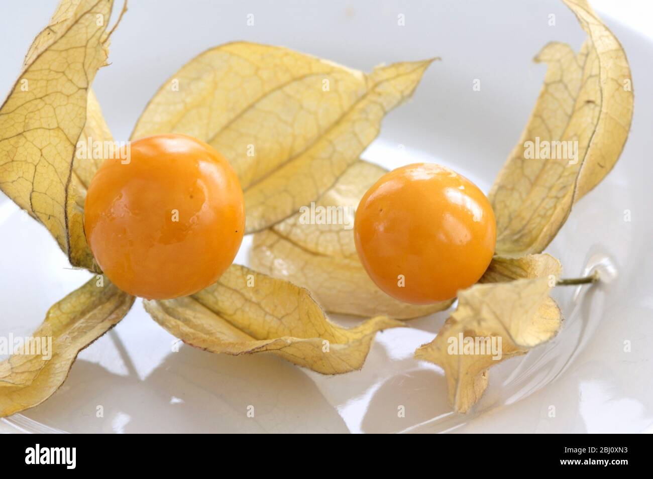 Due gooseberries di cape su piatto bianco - Foto Stock