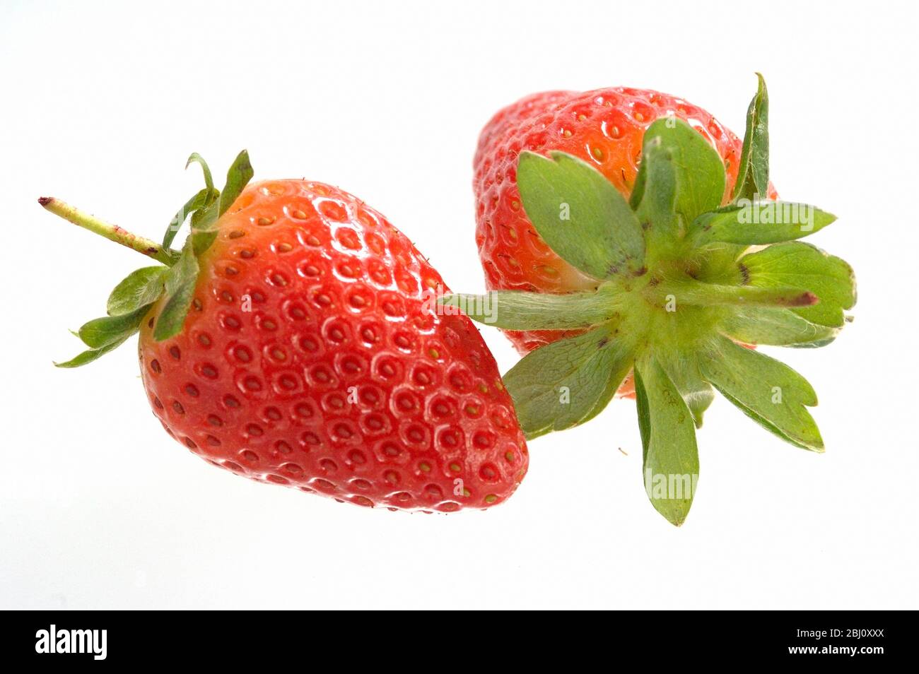 Singolo perfetto fragola rossa su sfondo bianco - Foto Stock