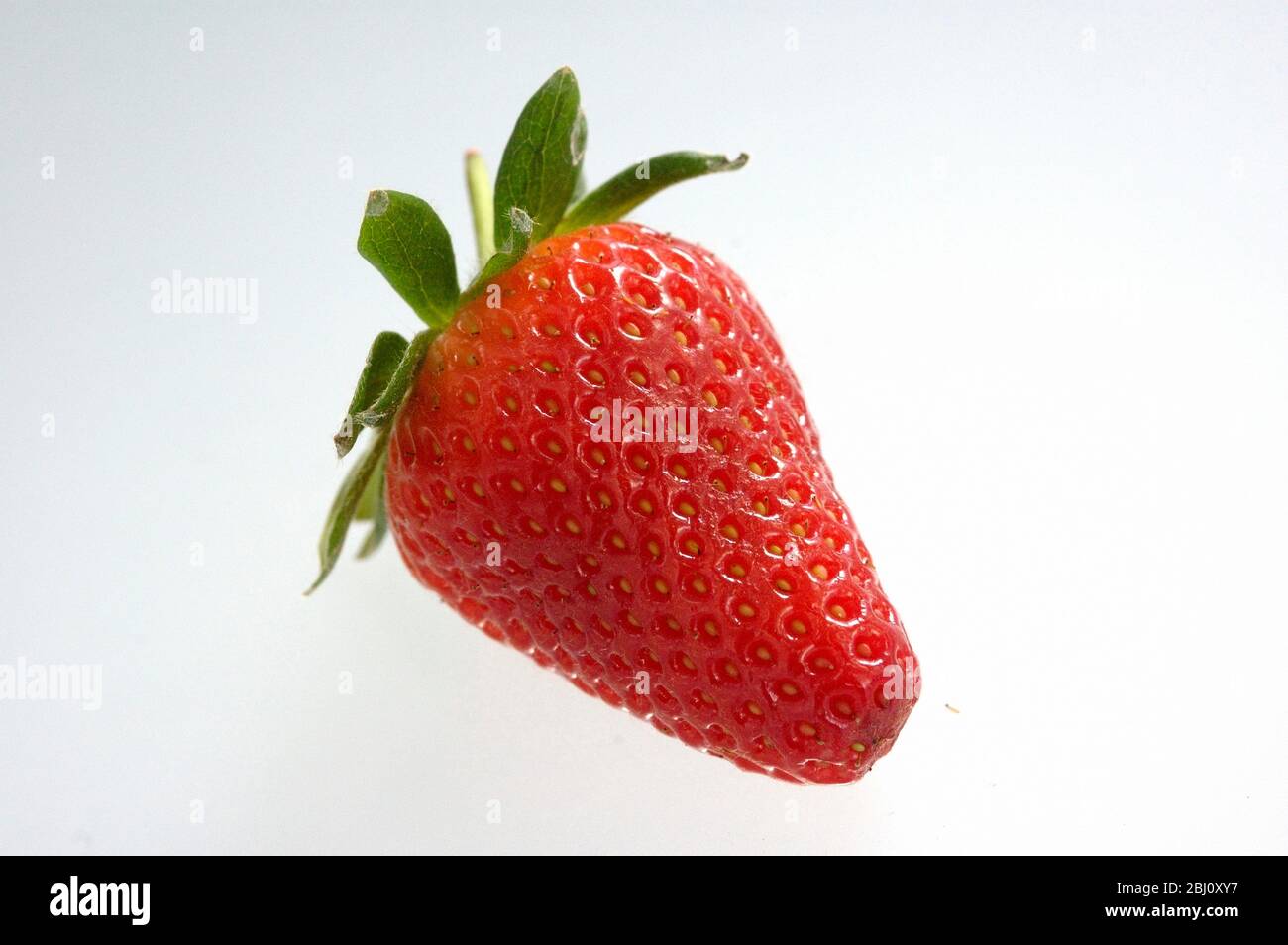 Singolo perfetto fragola rossa su sfondo bianco - Foto Stock