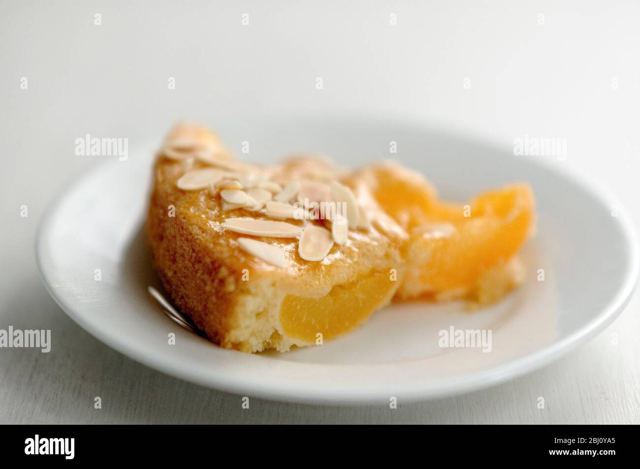 Fetta di torta di albicocche su piccolo piatto bianco - Foto Stock