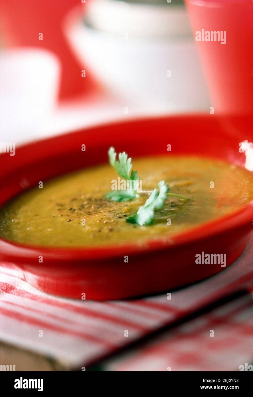 Zuppa di lenticchie con coriandolo - Foto Stock