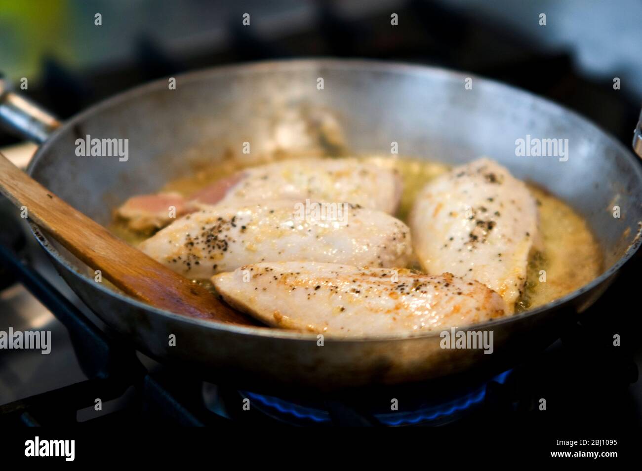 Filetti di pollo supreme cucinati in padella con salsa di dragoncello - Foto Stock