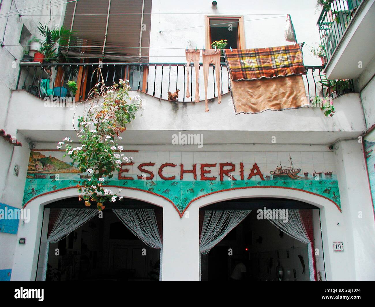 Facciata piastrellata di negozio di pesce ad Amalfi, Italia con balcone sopra con collant e lavaggio asciugando e cane che guarda fuori - Foto Stock